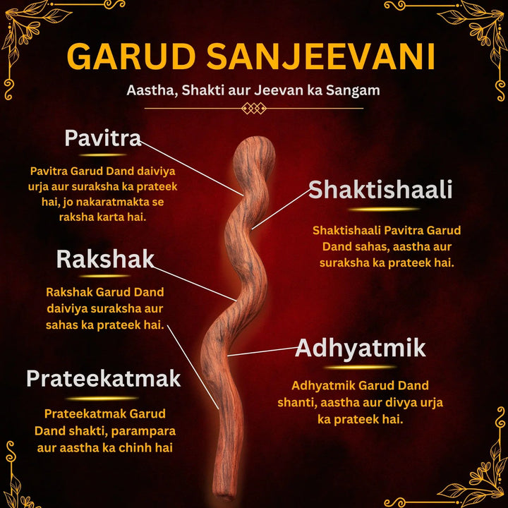 Garud Sanjeevani – Divya Vardaan (Dhan aur Sukh-Samriddhi ke Liye)