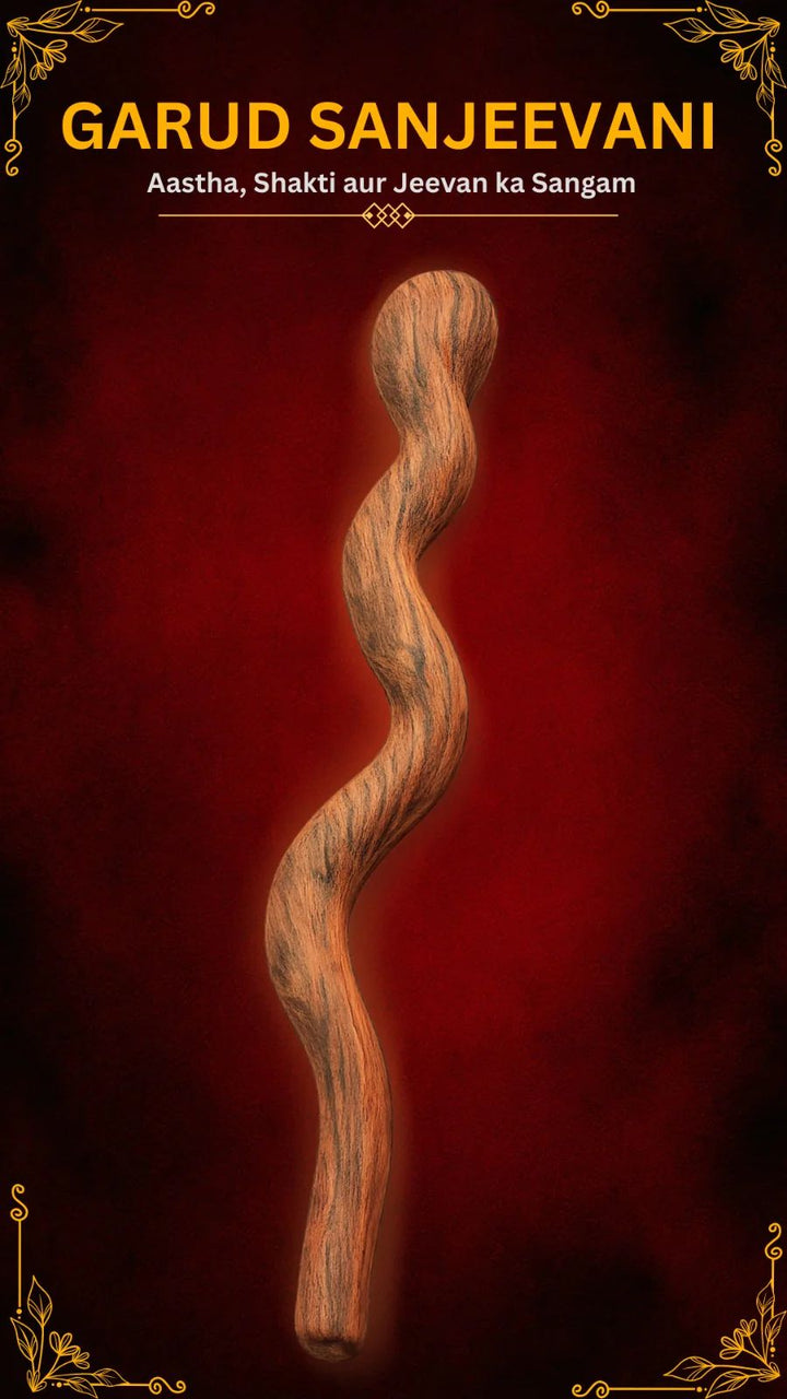 Garud Sanjeevani – Divya Vardaan (Dhan aur Sukh-Samriddhi ke Liye)